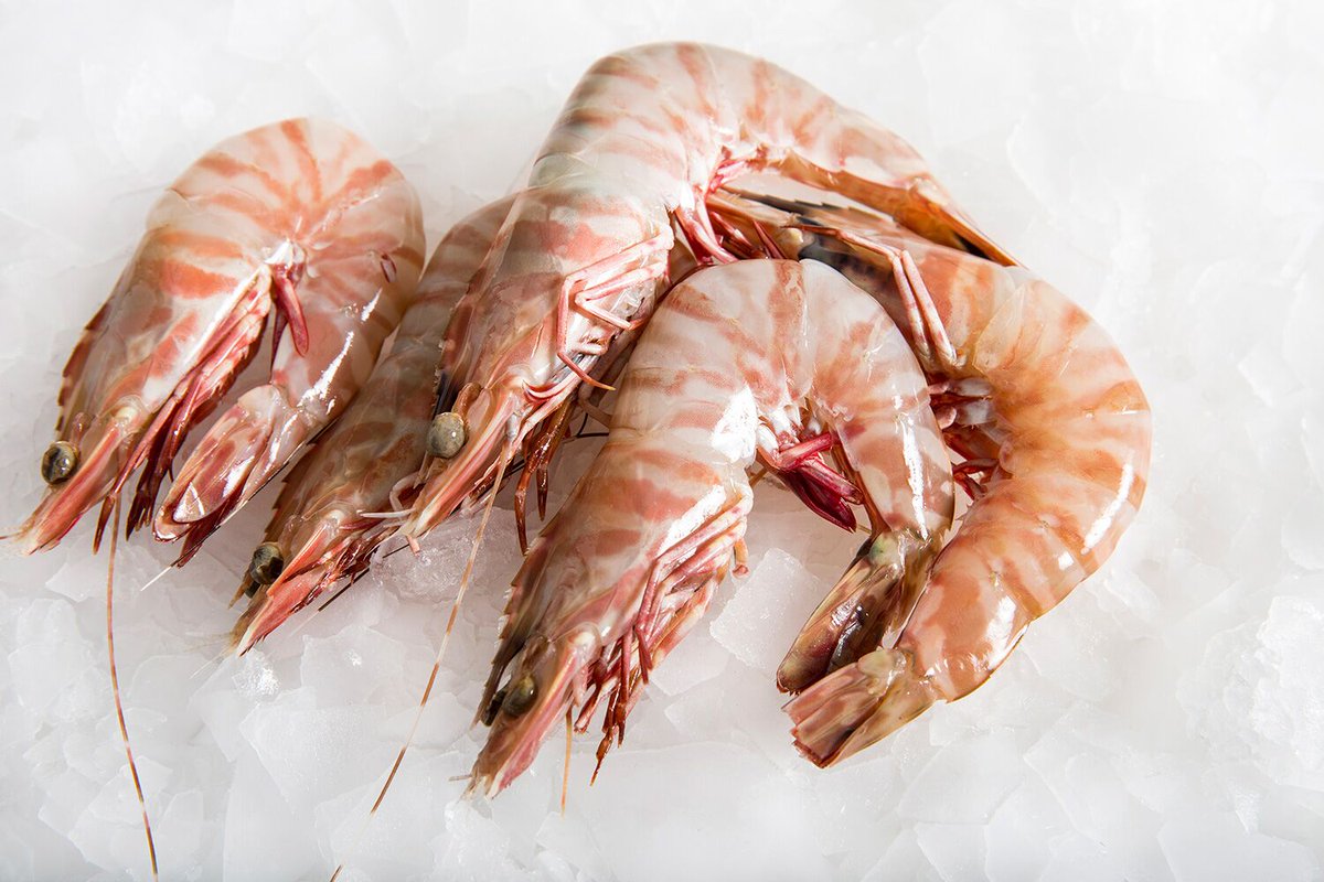 KUnavu's tweet image. Buy premium quality Fishes &amp;amp; Prawns from the CHENNAI&apos;s Leading Online Fishmarket.

Browse Our Range of Fresh Fishes, Prawns &amp;amp; Order Online at kadalunavu.com or Call us on 1-800-300-00638. LIVE Chat Support. 

FREE DELIVERY.  Get 10% discounts also!