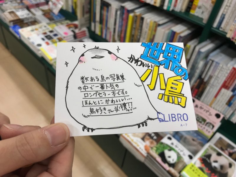 パイ インターナショナル リブロ 東戸塚店 さんにお邪魔したところ 世界のかわいい小鳥 のかわいい Popを見せてくださいましたー ただいま お店のおすすめコーナーでご覧いただけます 丸いおなかがかわいいっ