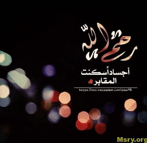 alanaa2002's tweet photo. #جمعه_مباركه https://t.co/1YjmmoeY5f