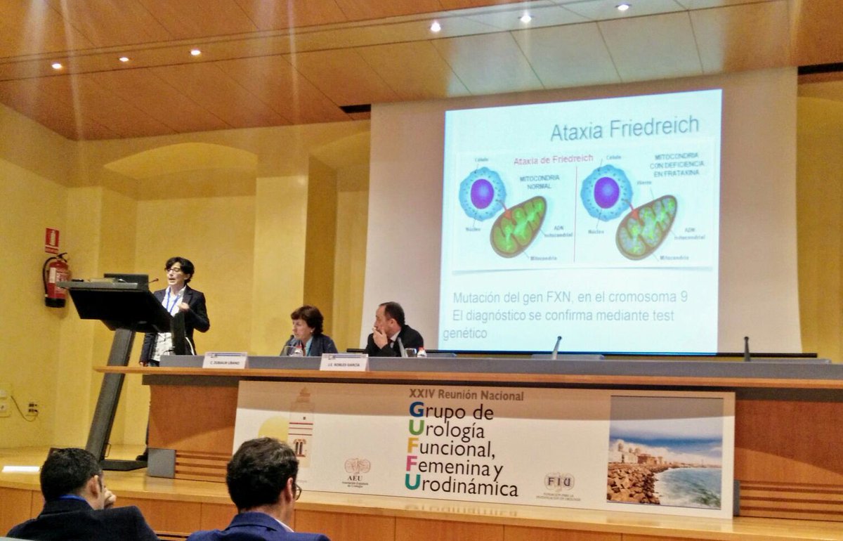 Dra Martínez Cuenca presenta hallazgos urodinámicos en pacientes con Ataxia de Friedreich en representación de <a href="/HLaFe_Surf/">URF La Fe</a> <a href="/HospitalLaFe/">HospitalLaFe</a> en GUFFU Cádiz 2018 <a href="/InfoAeu/">AEU</a>