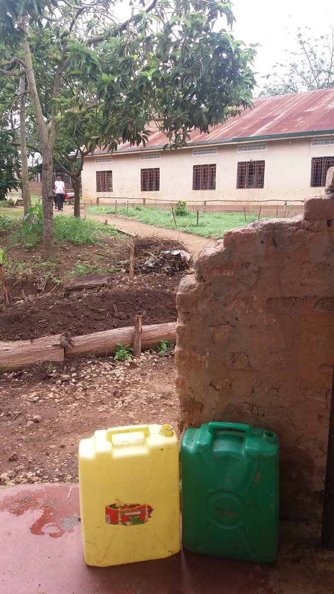 Sabina school, Ssanje, Kyotera, Uganda. Venue for East Africa Permaculture convergence may 28/ 9 #eapc18 #permaculture <a href="/EWestaway/">Elizabeth Westaway</a> <a href="/misterjones2u/">Steven Wilson Jones</a> <a href="/PermoafriCentre/">Permo Africa Training Centre</a> <a href="/ManganoACTED/">ACTED Resilience in East Africa</a> <a href="/PermaculturNews/">PermacultureNews</a> <a href="/LlanTransition/">OneSchool OnePlanet</a> 
@HubCymruAfrica