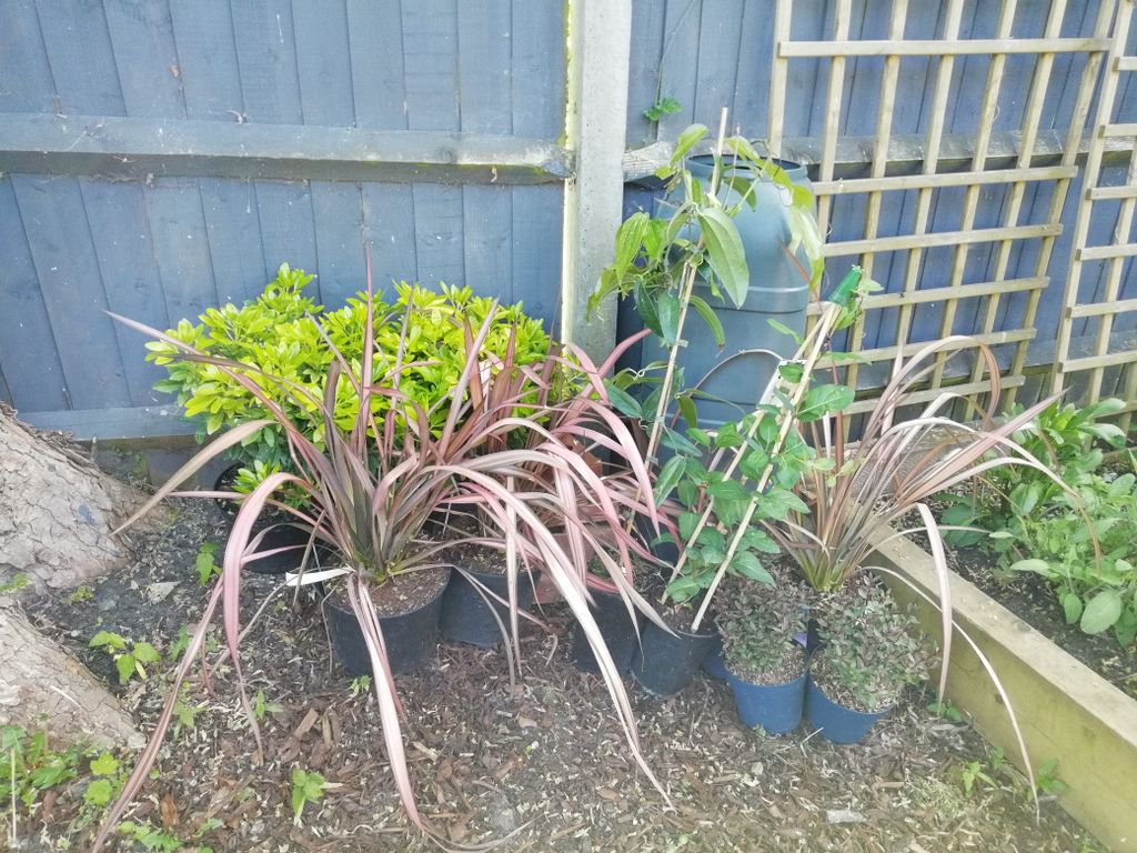 ForestEstateHub's tweet photo. Ready for the big dig at the community gardening morning tomorrow.  #communitygardening https://t.co/AMxLhKaO4M