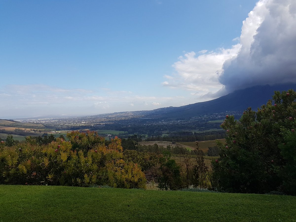CVC1659's tweet photo. Views from @VergelegenWines cellar where we're showcasing #cvcmember wines today #cvcquality https://t.co/LNl1UCcxkd