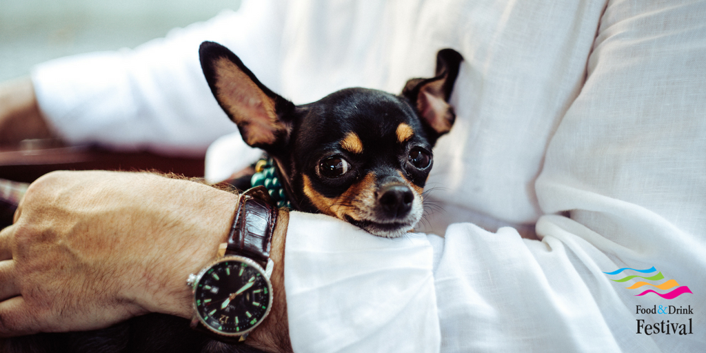 ChathamFestival's tweet photo. Are good #dogs allowed at #Chatham #foodfestival? YES! (If they're on leads and don't steal the food...)
#whatsoninkent #dogsofkent https://t.co/Qs1PicOIjl https://t.co/WJ7njXiLON