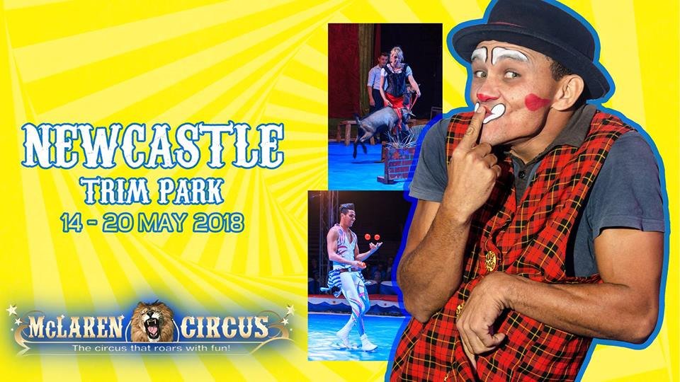 DenzilMclaren's tweet photo. Don't miss #McLarenCircus Excitng 2018 Spectacular Show in #Newcastle #KZN
#Charlestown #Durnacol #Klipspruit #Volksrust #Dannhauser #Hattingspruit #Amielpark #Amajuba #Drakensberg #Ncanduwaterfall #eMadlangeni #KwazuluNatal Visit https://t.co/wsY55Vvbk8 #SouthAfrica's #best 🎪 https://t.co/du8lRAjle4