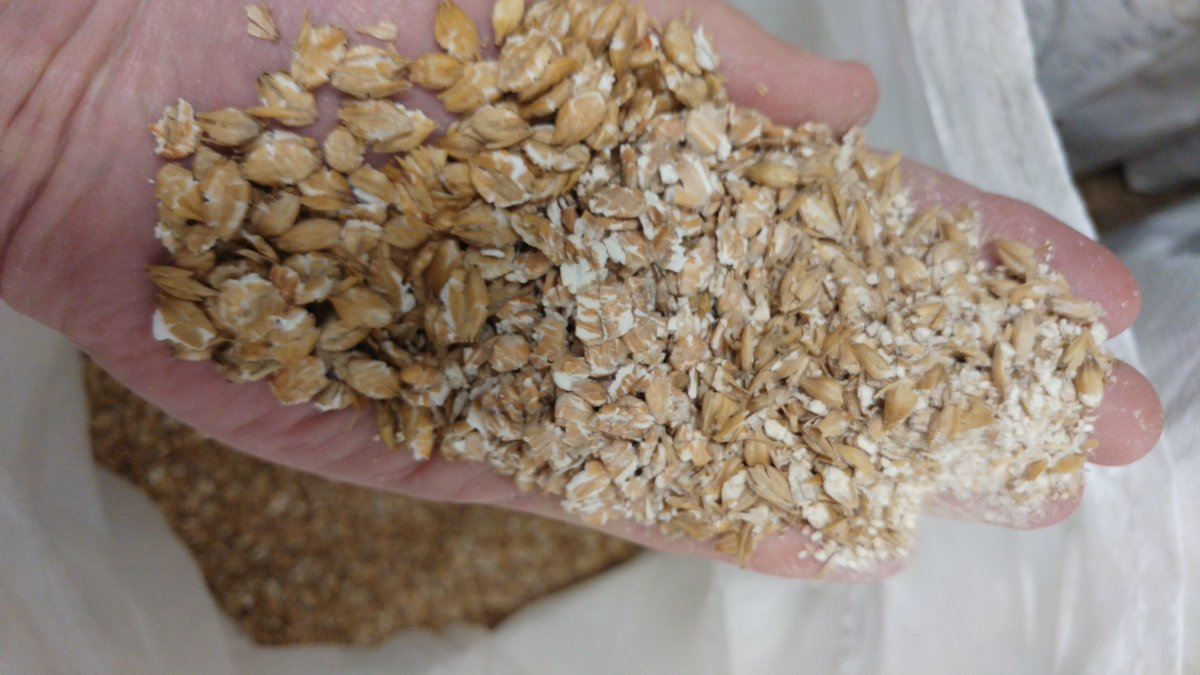 Finally! Gin production has started. Stage 1 today, brewing the wash for distilling. Our #gin is made by me from scratch, not from bought in spirit. Distilled in Norfolk, not compounded.