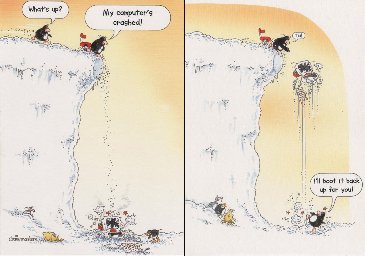 HDMediaWilts's tweet image. #fridayfunny when a penguins computer crashes #computercrash