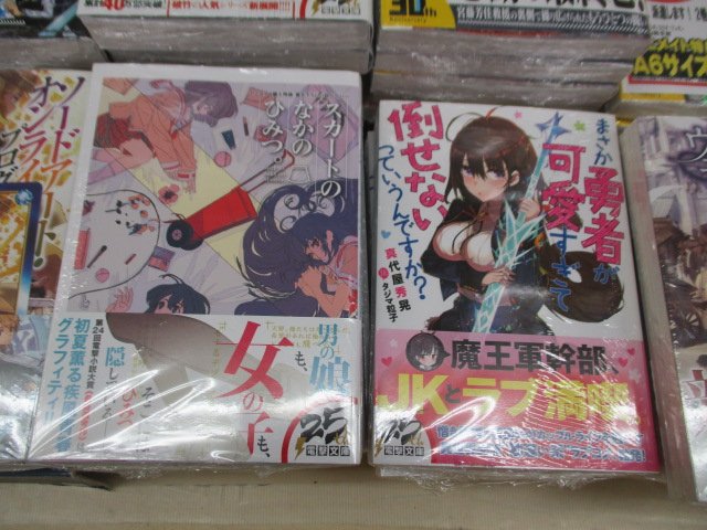 アニメイト高知 アニメイトアプリ配信中 新刊入荷情報 電撃文庫 まさか勇者が可愛すぎて倒せないっていうんですか スカートのなかのひみつ 1パーセントの教室 2 最高の二次元 嫁とつきあう方法 処刑タロット 2 等入荷ぜよ T