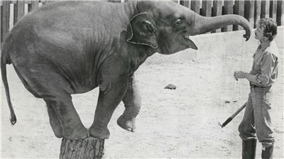 Friends of Lucy tweet media