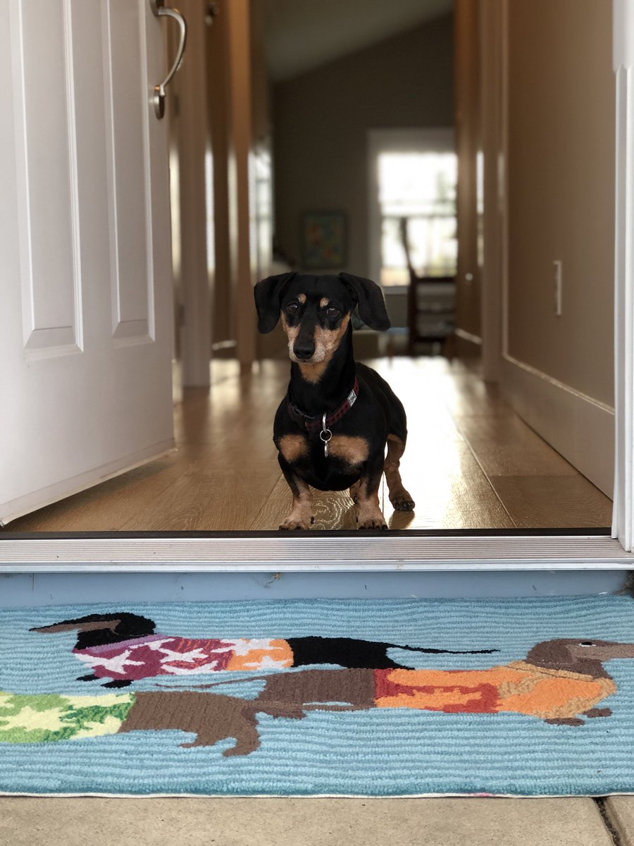 We got a new doormat. It’s Bug approved! 👍