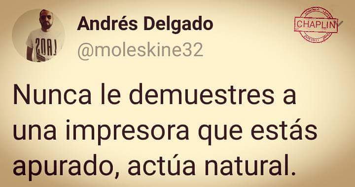 LisaAidan's tweet photo. ¡Buenos días! Sobre todo no tiembles, que no sienta tu miedo.
#humor #risas #laughs #writersstuff #writersthings https://t.co/yP9SX85m2y