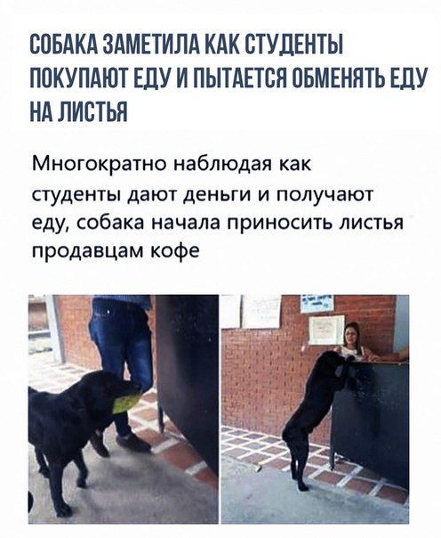 Невероятно, но Факт! (@best_fact) on Twitter photo 