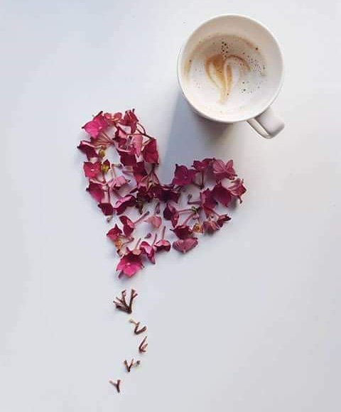 RossellaRo_'s tweet photo. Un cuore senza un alternarsi di improvvise emozioni non può sapere di quanta dolcezza è fatto un giorno
Rossella Rò
© 8520180043
#Giorno #Mattino #TuComeMe
#ScegliUnSorriso https://t.co/eLOGqmRSFW