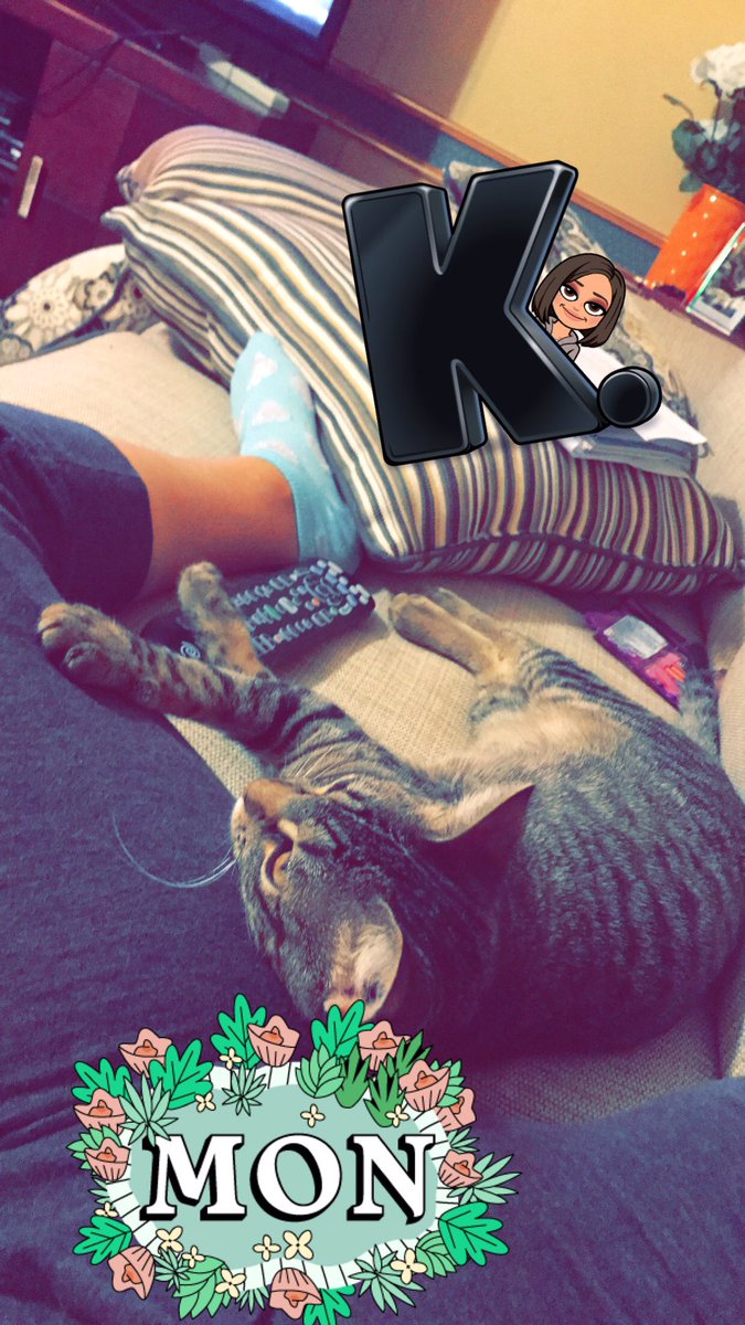 dedeidra22's tweet photo. I'm obsessed with my CAT (toast) and I don't give a flyin'  fuck what anyone says cause I love her so much https://t.co/aR49Gur1bQ