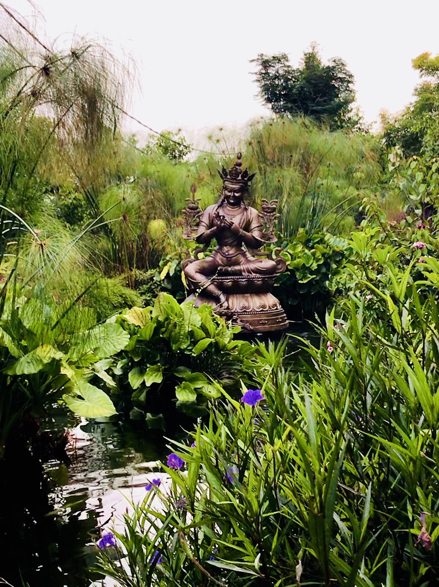 MartinMKC's tweet photo. A very #powerful and #unique #divineforce in #SouthEastAsia #KecharaForestRetreat~ https://t.co/dbUlZNnTmH
#powerplaces #pilgrimage #wutaishan #positiveenergy #healing #magic #supernatural #Manjushri #prophecy #god #blessings #imprint #Ganden #pureland #zen #yoga https://t.co/NcxRk6rbUw