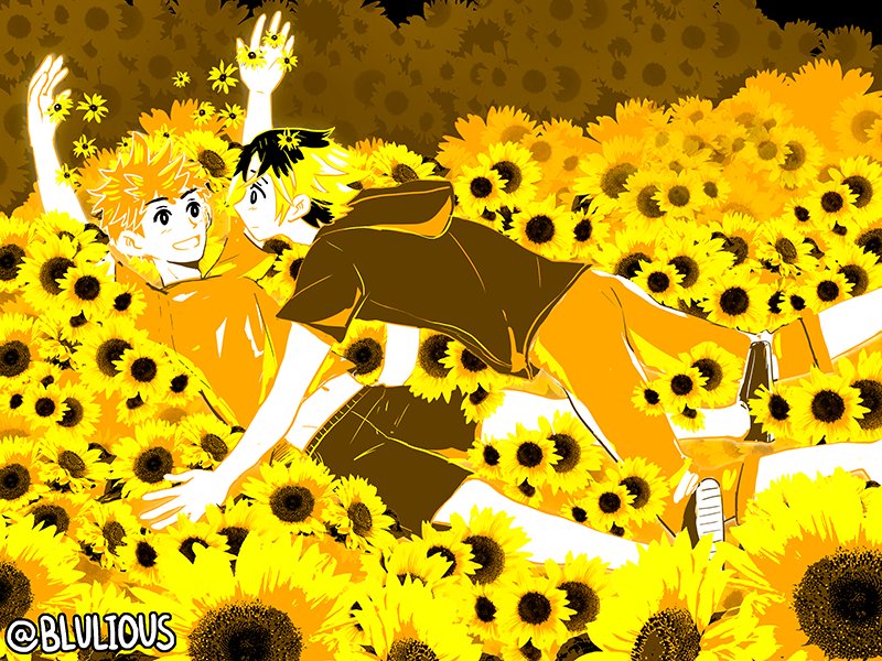 blulious's tweet photo. That's a lot of yellow. 😂💛🌻 https://t.co/ZdbkeGUc5v