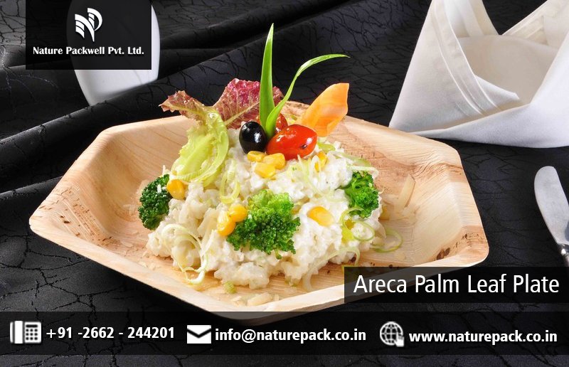 NaturePackwell's tweet photo. Areca palm leaf product: 
Made from fallen leaves.
100% Natural
No chemicals or additives used
Bio-Degradable and Compostable

https://t.co/GpHrXFdxfo
#naturepackwell #arecapalmleafproduct #squareplate #roundplate #servingtray #flatroundplate #roundbowl  #manufacturer in #India https://t.co/8t9q5bXKxH