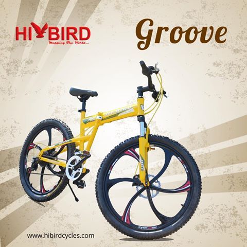 bird cycles