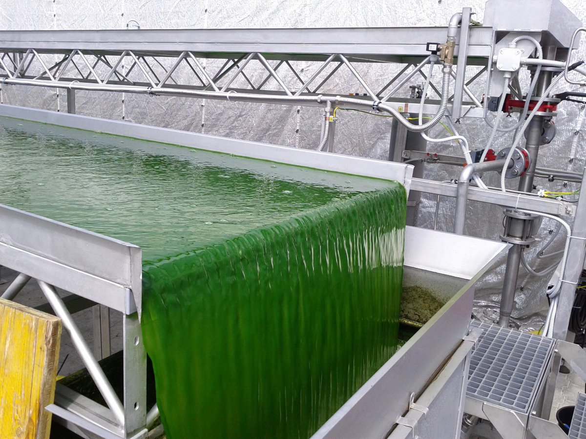 PromoteUkraine's tweet image. #UkrainianScientificInnovation #21
Biogas
Researchers from Kremenchuk University invented a technology for the extraction of biogas from blue-green algae. This technology will help to clean water from pollution, and partly help to solve the energy problem. mon.gov.ua/ua/news/bezpil…