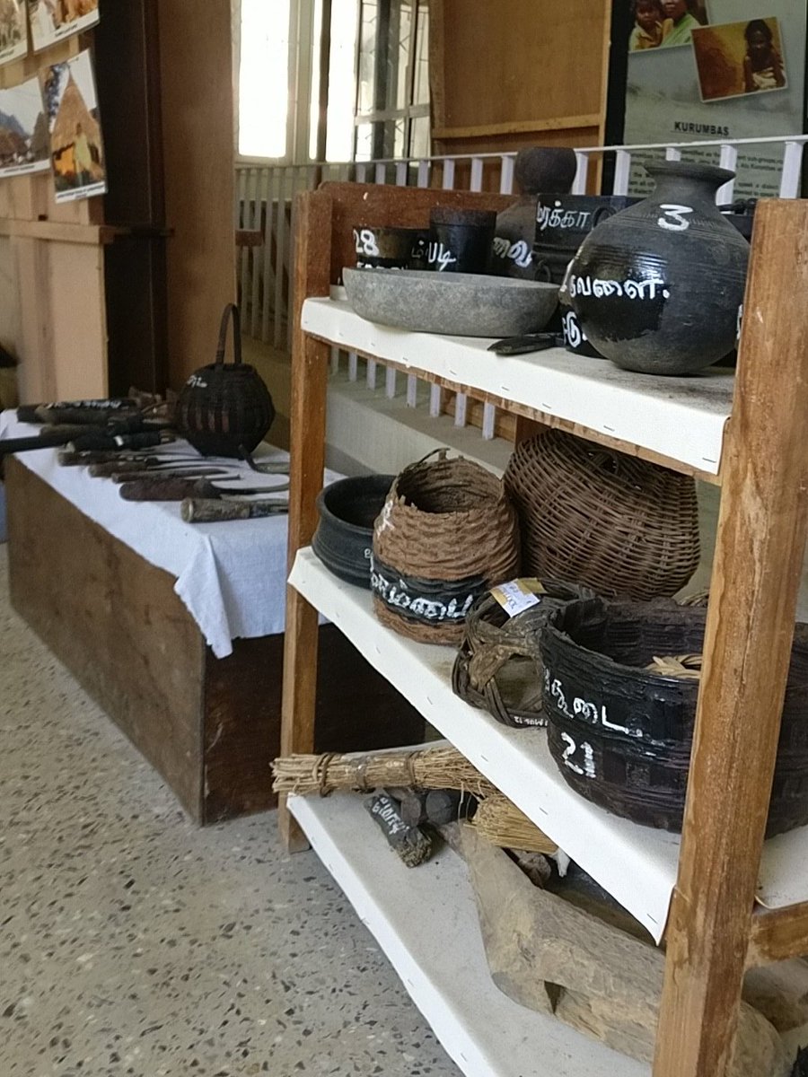 nehaguptade's tweet image. Wonderful #tribalmuseum on the corridors of #ooty Getting to see so many artefacts so close and personal, with only Rs 5 as #entryfee Requesting all to share huge awareness of these places! Treasure trove for all #archeologist #history #Knowledge #travel #offbeat #sustainance