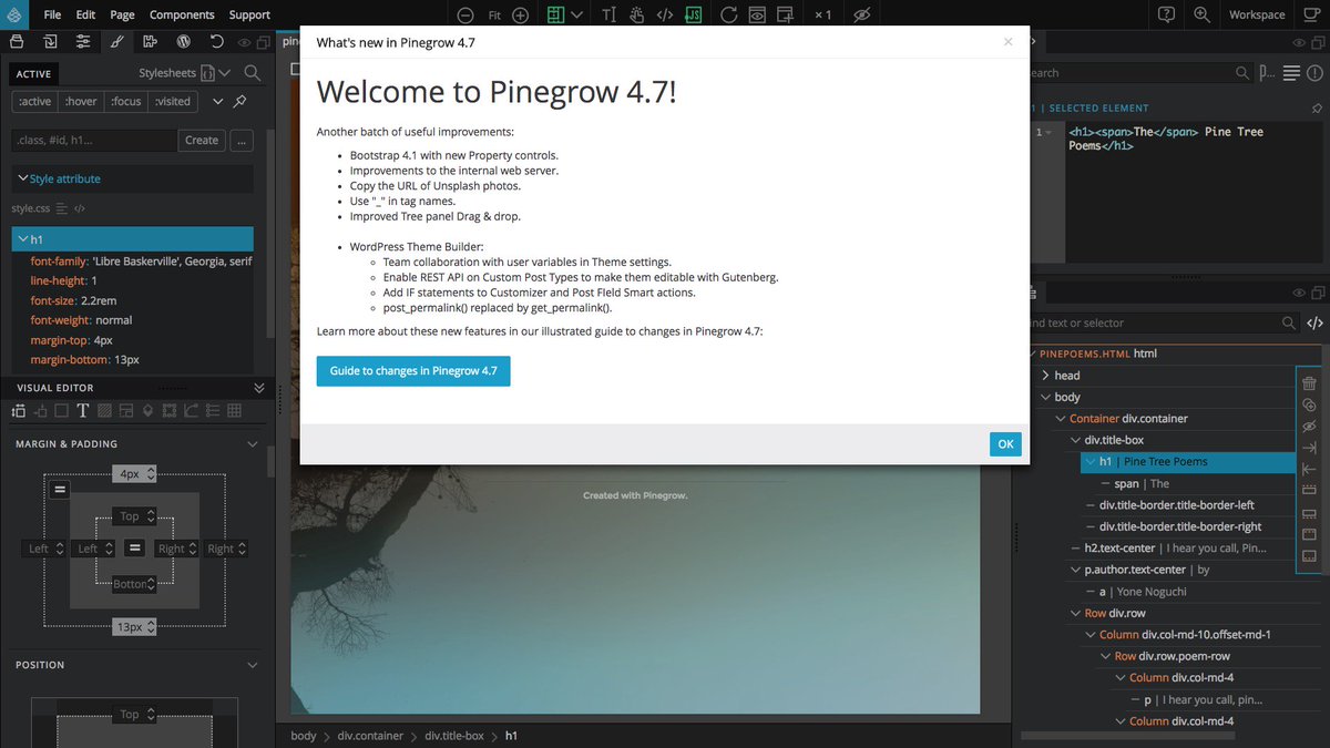 pinegrow 4 not showing images pinegrow 4 not showing images