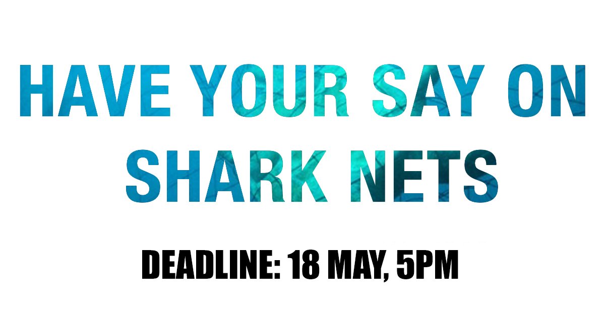 humaneworldaus's tweet photo. The NSW Government is inviting feedback on the second Shark Net Trial on the North Coast. It's an opportunity to tell them you do not support lethal shark nets that indiscriminately kill marine life. 98% of the animals caught this season were harmless. https://t.co/D2e06dz4l0 https://t.co/9Wv4cqx9gj