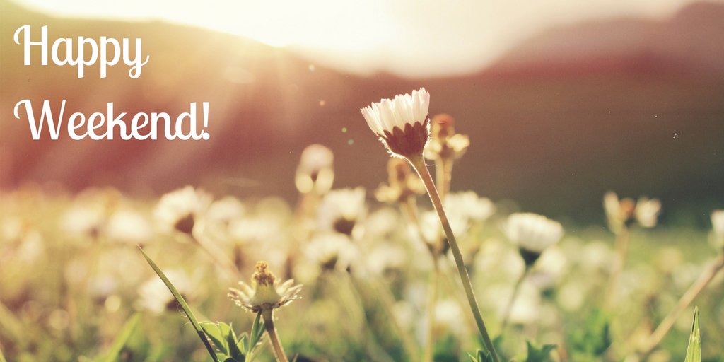 SafeCitiesAU's tweet photo. Happy Weekend :) https://t.co/1J5DqB1SYA
