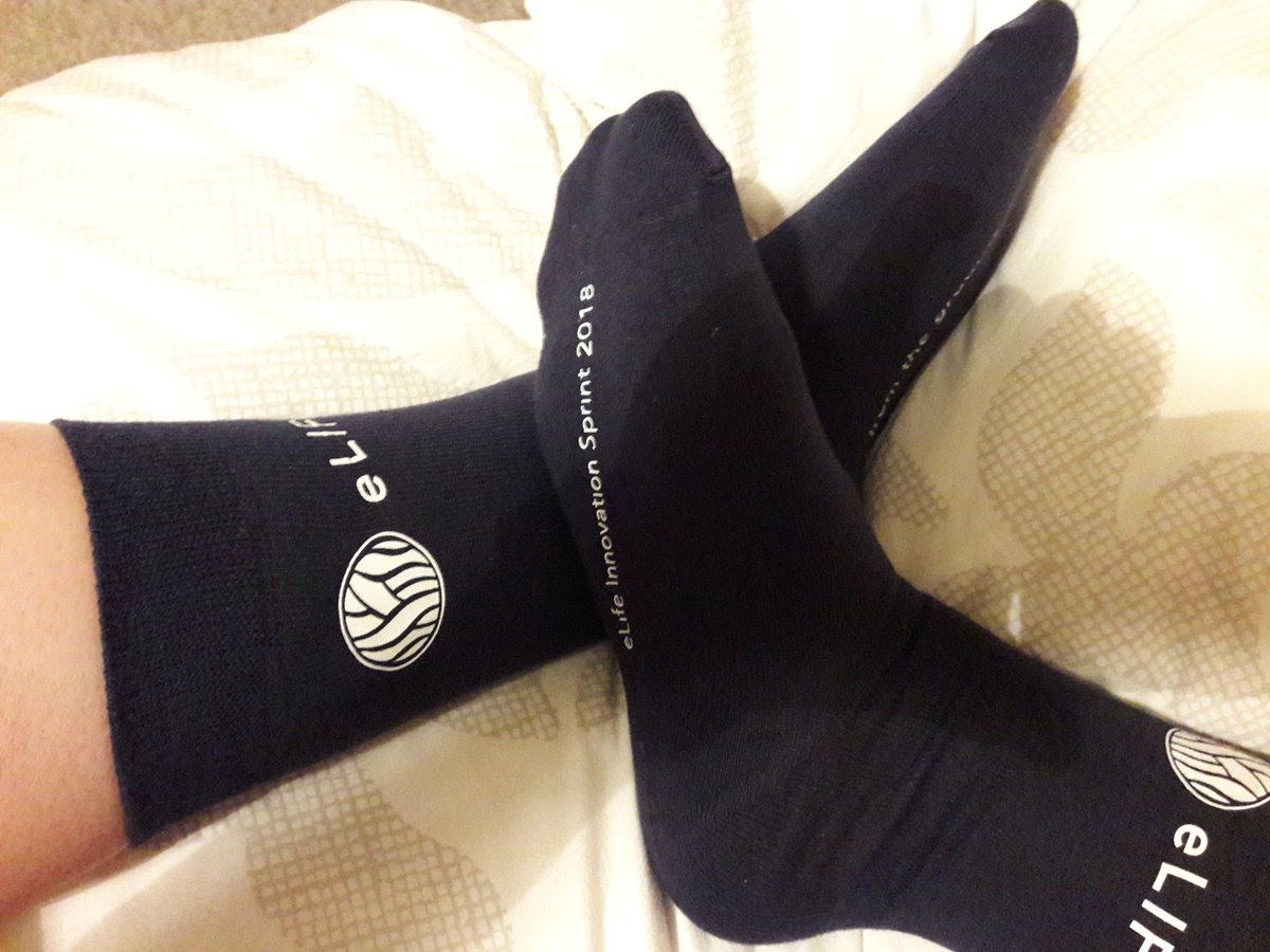 cwhicher's tweet photo. Loving the #eLifeSprint socks! 😀 https://t.co/sXnqrYJb19