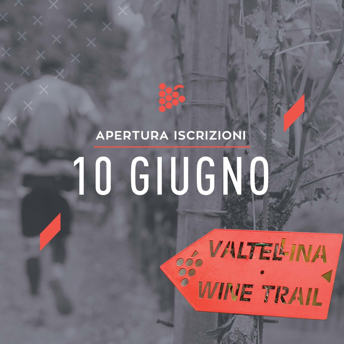 Valtellina Wine Trail 10 novembre 2018. Entries will open on 10th June!
Le iscrizioni apriranno il 10 giugno a questo link: shop.endu.net/edit/42224 #savethedate #vwt2018