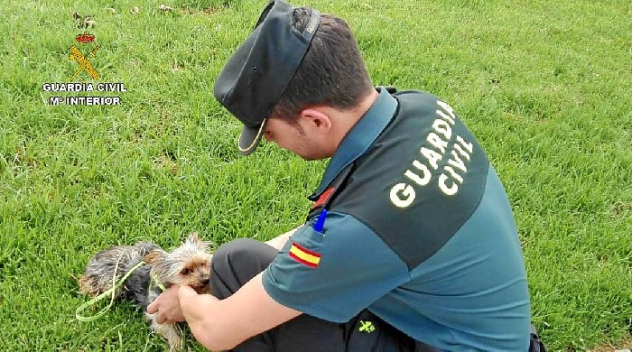 guardiacivil's tweet photo. Salvar la vida de un animal es quizás lo más gratificante que puede llevarse a cabo durante un servicio.
En la playa de #Lepe una patrulla salvó la vida de un pequeño perro que estaba siendo golpeado e intentado ser ahogado. Hoy el perrito sigue vivo y lejos del maltratador. https://t.co/EZj5FJWYBo