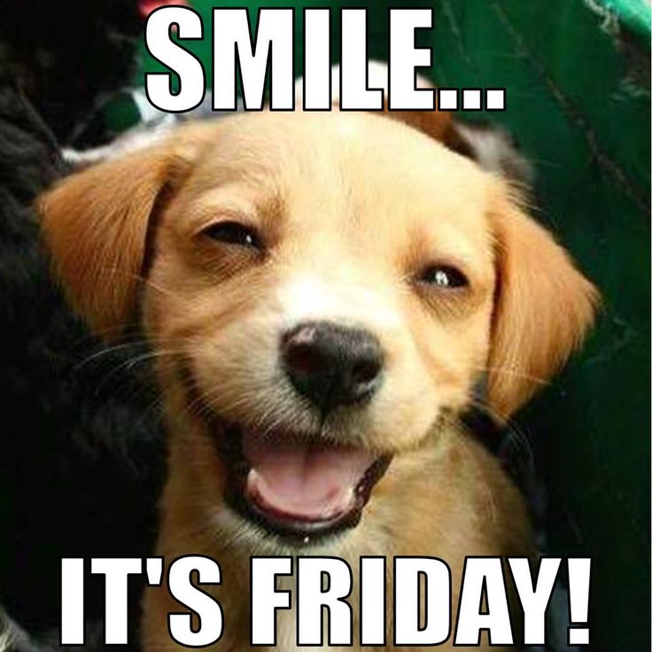 disco2man's tweet photo. Morning you lovely lot have a good one ππ #FF_SPECIAL_VIP_SHOUTOUT to you who follow and interact its fridayyyyyyyyyyy https://t.co/XGhuUTM6i6