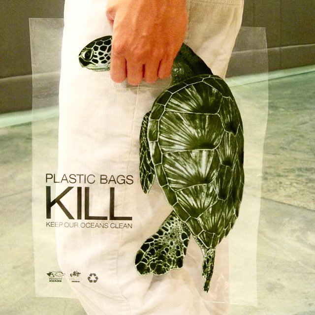 culturepub's tweet photo. "Les sacs plastiques tuent" 😥🌊🐢 
#JournéeMondialeDesEspècesMenacées #EndangeredSpeciesDay #EspècesMenacées #EndangeredSpecies #CulturePub

Suivez-nous sur Instagram 📲 https://t.co/v9JzvF3s47 https://t.co/cQZP6hmsr3