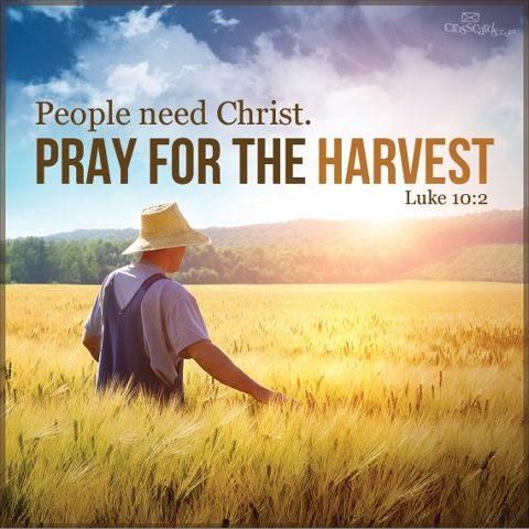 SportsviewSdaKE's tweet photo. We thank God for thus far He has led us through our evangelistic meetings in Karundu. Lets continue praying for the Lord of the harvest that even as we conclude tomorrow, that His marvelous love may be manifested to His children and that they may truly know, accept and follow Him https://t.co/5xM7KQNhwl