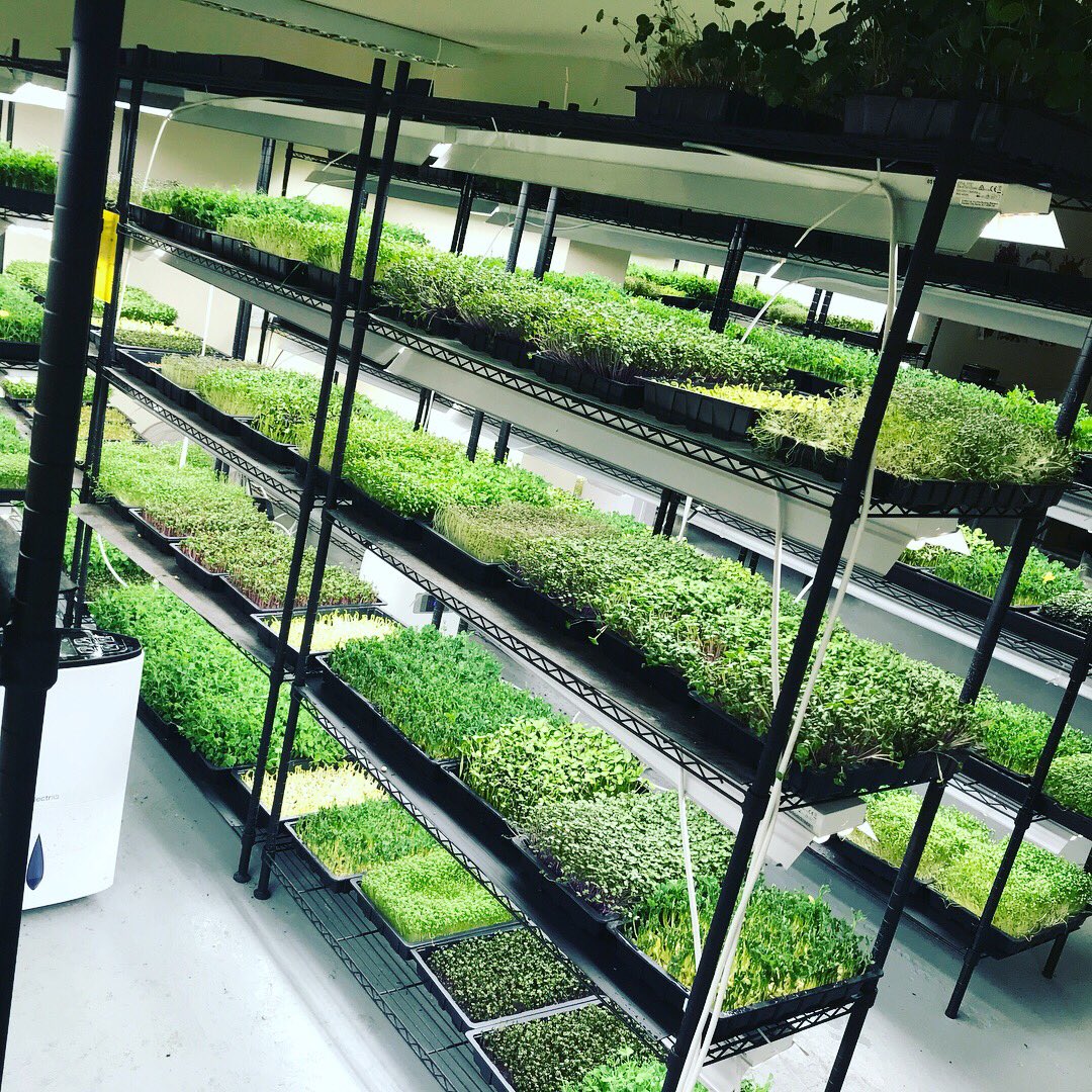 Happy #somersetday! 🌱🌱