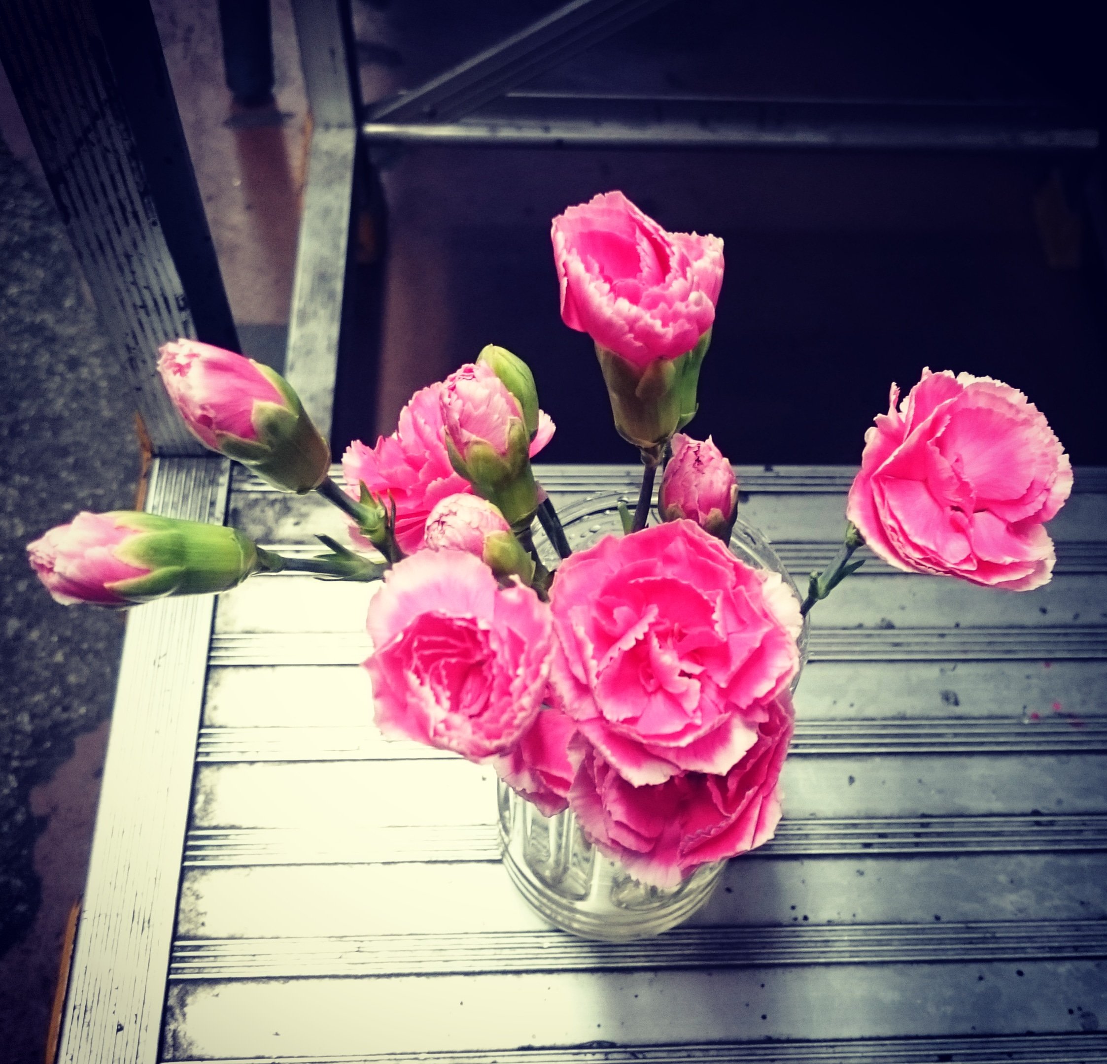 競馬ニホン歳時記 前夜通信社公式 ウィークエンドの花言葉 スプレーカーネーションは 純粋な愛情 の花言葉 大好きな母に贈りたい今週の花です スプレーカーネーション 花言葉 母の日 T Co 4tqpoknife Twitter