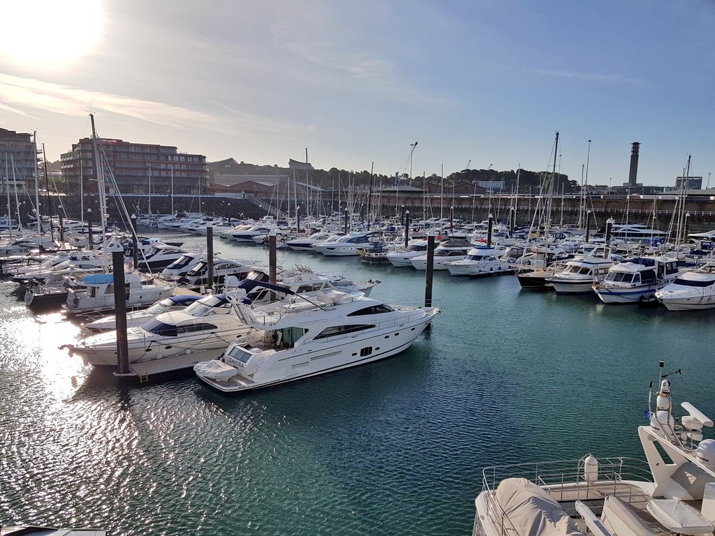 Darcie Powell tweet media