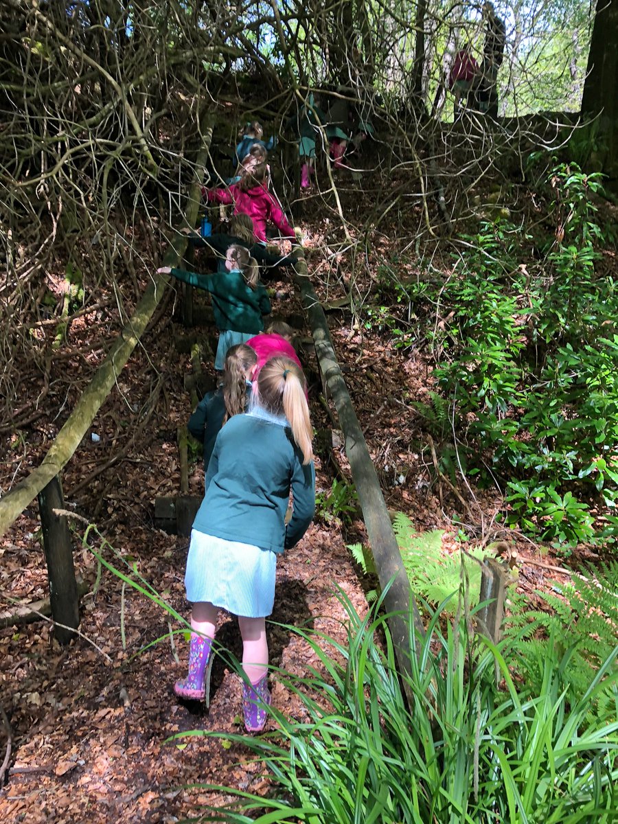 Offwell Primary tweet media