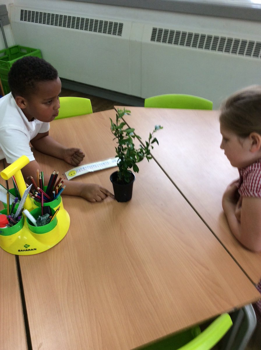 MerseyYear2's tweet photo. Our super #mpascience lessons @MerseyPrimary https://t.co/juWRzxKpfq