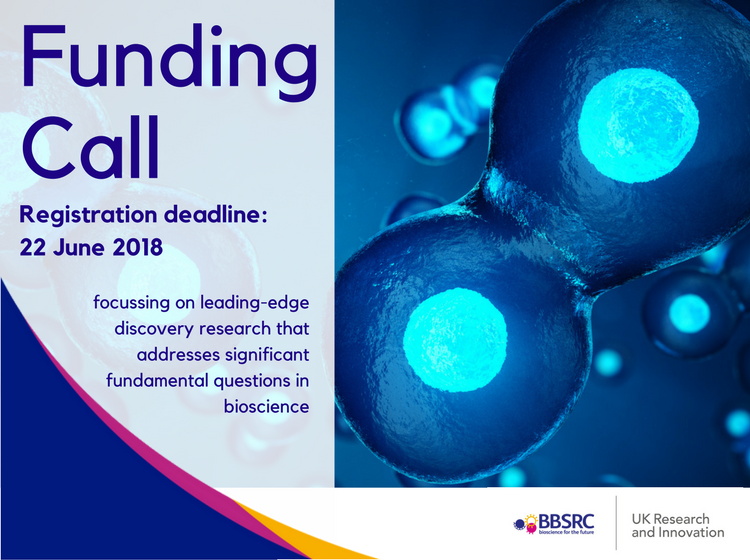 BBSRC's tweet photo. WEBINAR next week Tues 15 May 12:15-13:15 for #BBSRCfunding
Find out more here --> https://t.co/WvZoD5gYYK https://t.co/oyZG3IwSoN