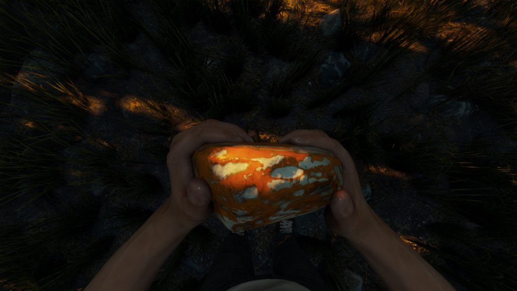 forest-game.de (@Survivor_Forest) / Posts / X