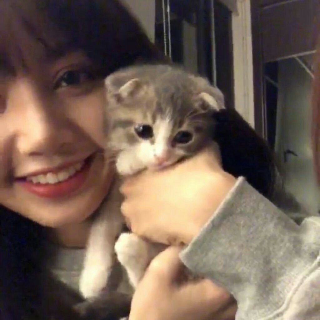 Ututututu. Ayo say hi dulu sama orang orang di tl aku?