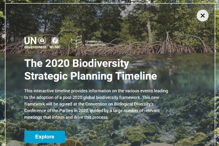 unepwcmc's tweet photo. Have you seen the #2020timeline? This interactive tool is helping the international biodiversity community coordinate efforts in developing a new strategy for biodiversity! @UNBiodiversity
https://t.co/GK8LOnLuCY https://t.co/EWbnUgnz7G
