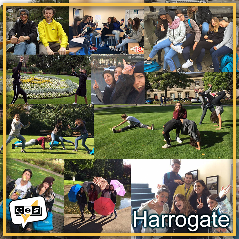 CESschools's tweet photo. #DYK that #Harrogate has been voted the happiest place to live in Britain for the 3rd year in a row by a #Rightmove survey? It looks like joy is contagious! Here’s a quick peak at a day in the life of a #CESHarrogate student! https://t.co/K2FWQUfQyt #LearnEnglishIn @englishuk https://t.co/dc0SbuxqEo