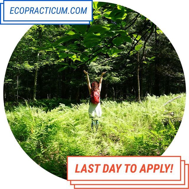EcoPracticum's tweet photo. Today is your last chance to apply to Eco Practicum Catskills: Redefining Wealth, which runs from June 10-16 in the beautiful Catskill Mountains. The link for details is in our bio! .
.
.
#lastchance #ecopracticum #yoursummermatters #ferns #deadline #summerprogram #ecopracti… https://t.co/IwRiZrNak7