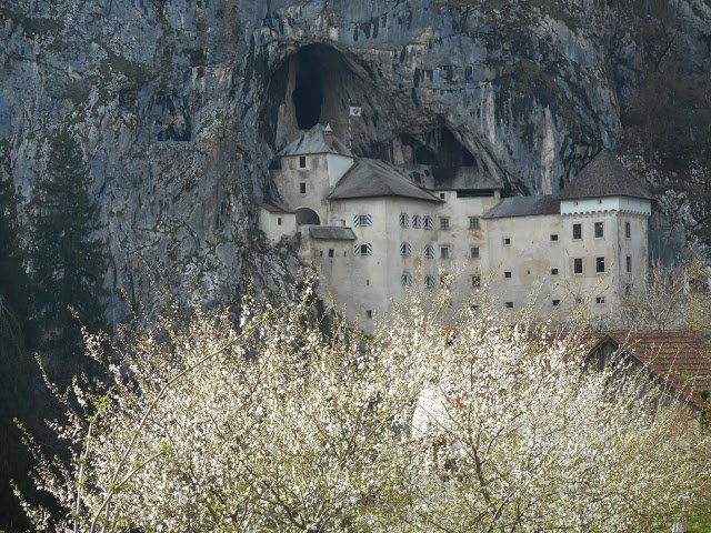 DDurissini's tweet photo. Itinerari e culture: Foto del giorno. Castello di Predjama (Slovenia) #NeiCastelli https://t.co/eOFdOJN870 https://t.co/YlX4eejKMQ