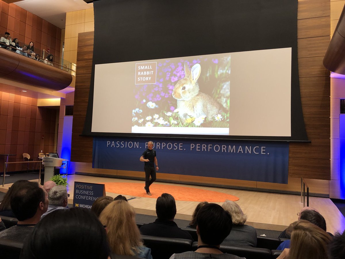PositiveOrg's tweet photo. .@janmuhlfeit usesπ°π°π° rabbits to explain the common, mistaken focus on weaknesses instead of strengths. #strengthsfinder #unlockpotentialnow #MGoPositive https://t.co/WneJfA1tPt
