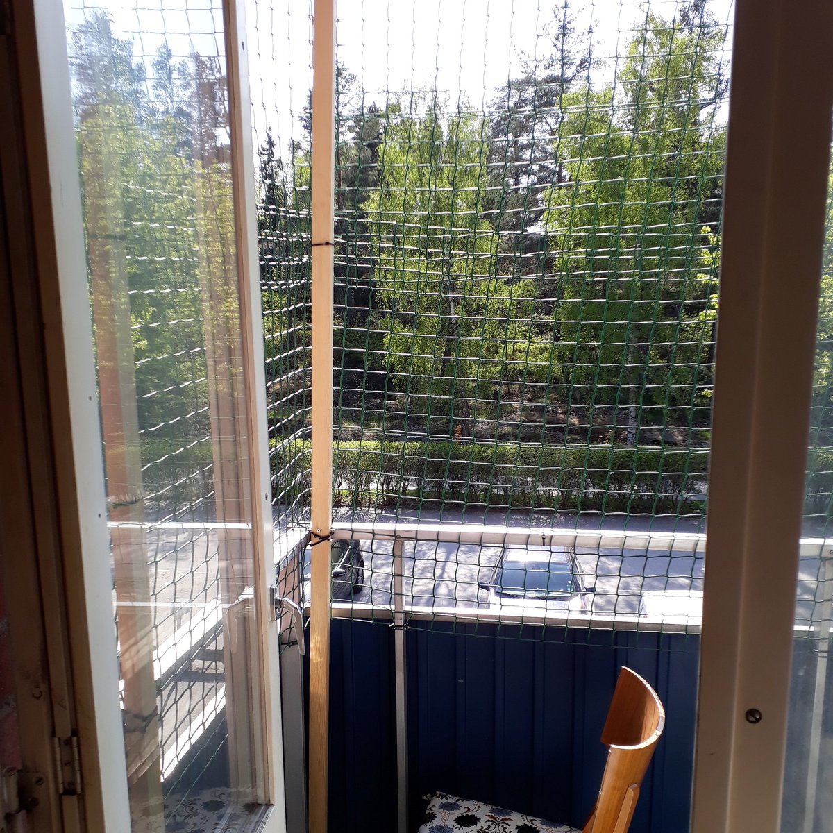 sjostrand72's tweet photo. Det tog bara fem år, men nu är balkongen kattsäkrad så vi kan ha dörren öppen. @sfinx19 https://t.co/3djK4cbkE1