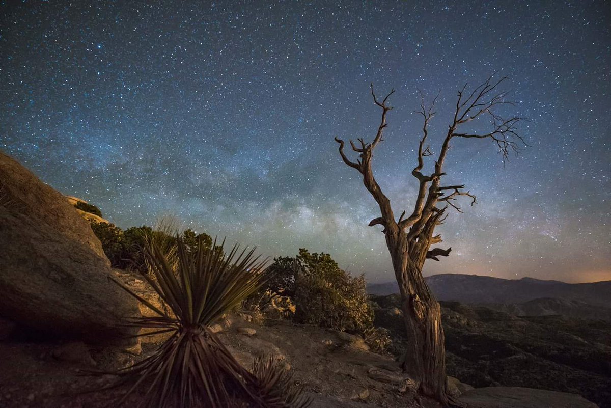 Wow! What a night to be up on Mt. Lemmon! Wendy Witzig snapped this shot up there Wednesday night. #Arizona #MtLemmon #Catalinas #CoronadoNationalForest