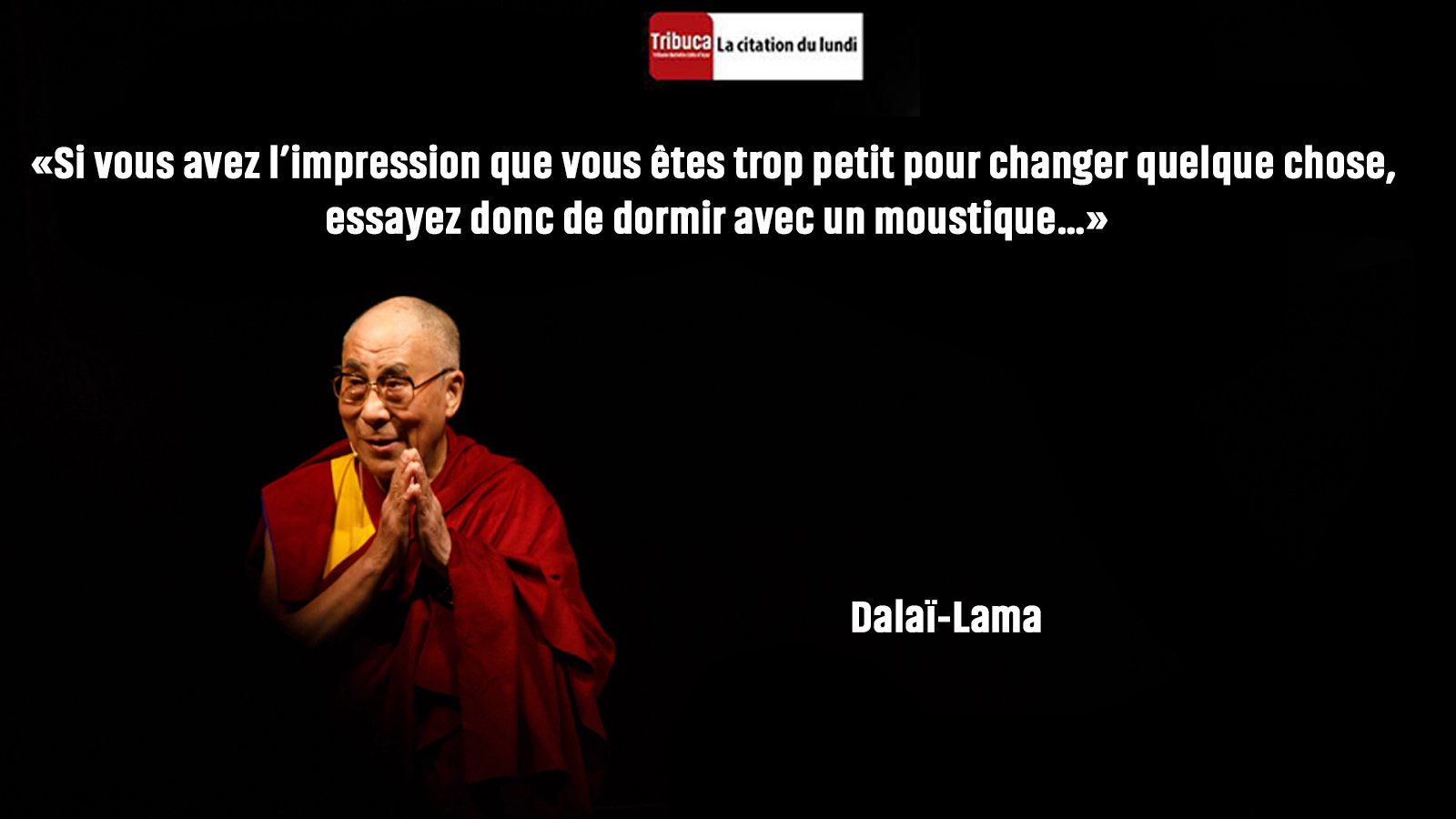 Tribune Cote D Azur La Citation Du Lundi Et De Saison Est Du Dalai Lama Excellente Semaine Avec Tribuca Mondaymotivation Nice06 T Co Edrhlunxff Twitter
