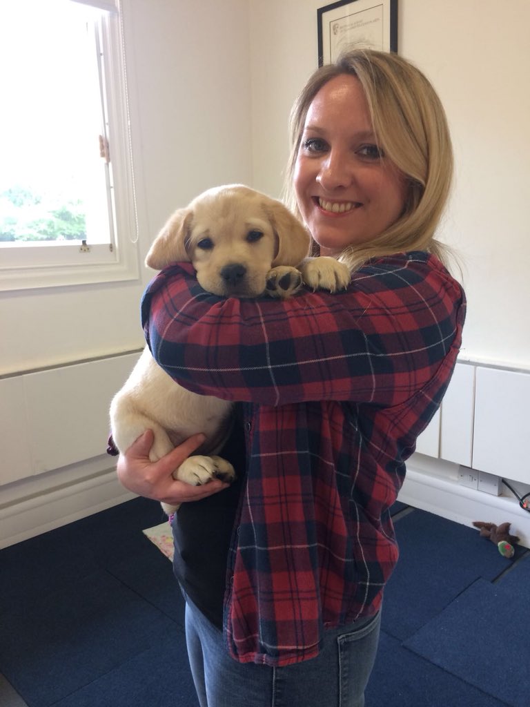 WeArePlayground's tweet photo. @WeArePlayground Employee Perk 72 - ‘Puppy petting in the studio’ - https://t.co/ug5rjeTDy7 https://t.co/JTaNu012UR
